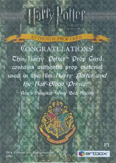 P3 - Ron's Hospital Bed Sheets - Back