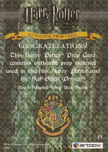 P3 - Ron's Hospital Bed Sheets - Back