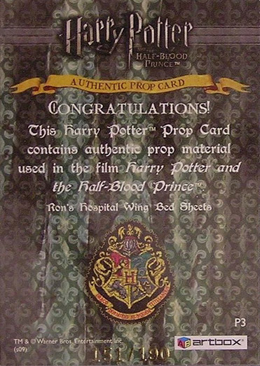 P3 - Ron's Hospital Bed Sheets - Back