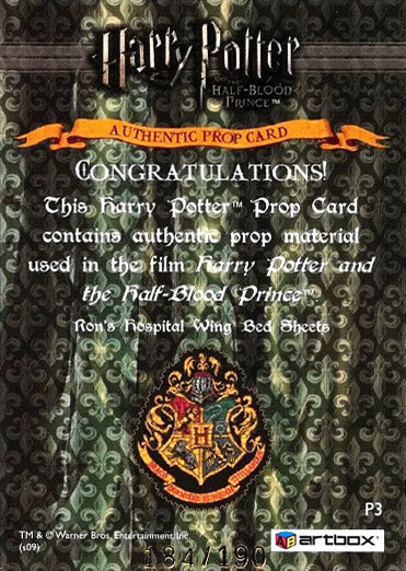 P3 - Ron's Hospital Bed Sheets - Back