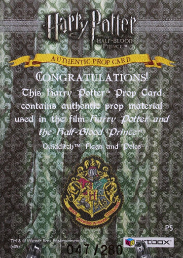 P5 - Quidditch Flags and Poles - Back