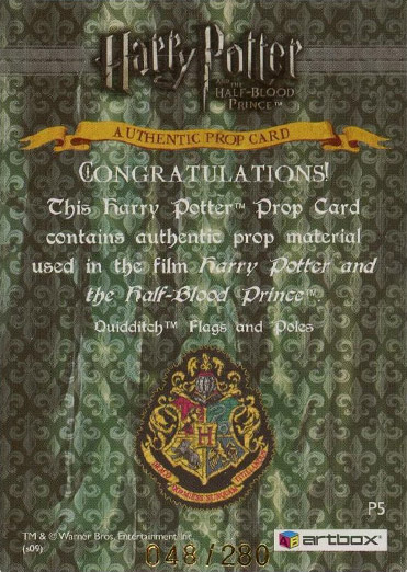 P5 - Quidditch Flags and Poles - Back