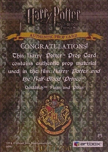 P5 - Quidditch Flags and Poles - Back