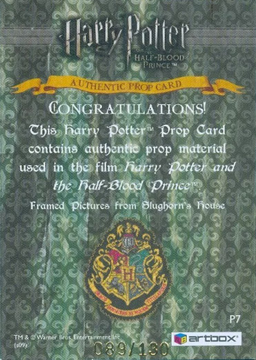 P7 - Framed Pictures from Slughorn's House - Back