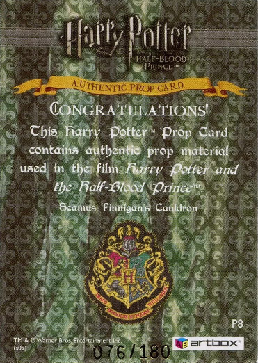 P8 - Seamus Finnegan's Cauldron - Back