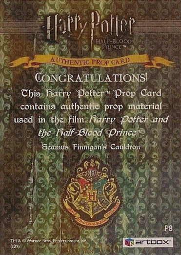 P8 - Seamus Finnegan's Cauldron - Back