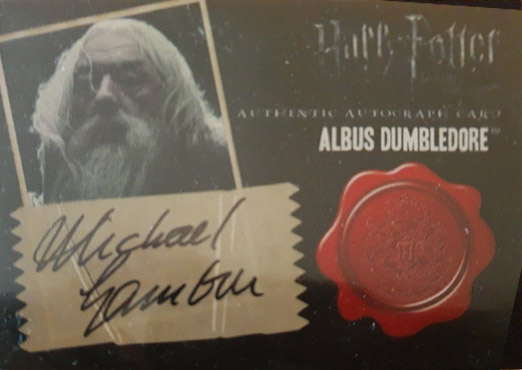 Michael Gambon as Albus Dumbledore - Front