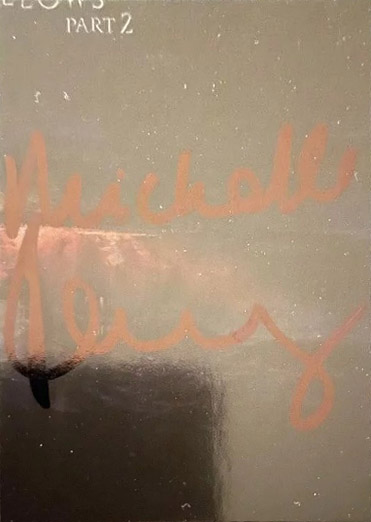 PA9 - Michelle Fairley