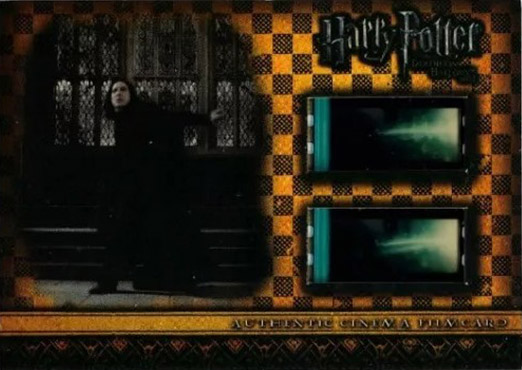 CFC12 - Snape at steps - Front