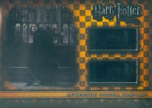 CFC12 - Snape at steps - Front