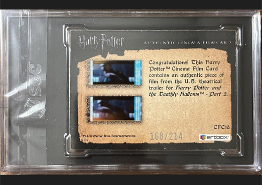 CFC16 - Ginny - Back