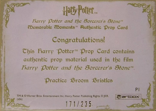 P1 - Practice Broom Bristles - Back