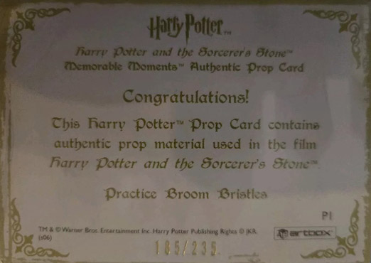 P1 - Practice Broom Bristles - Back