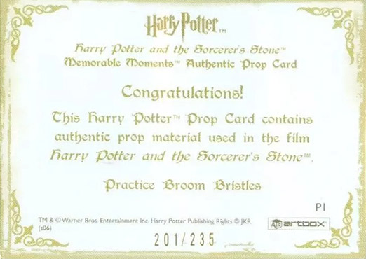 P1 - Practice Broom Bristles - Back