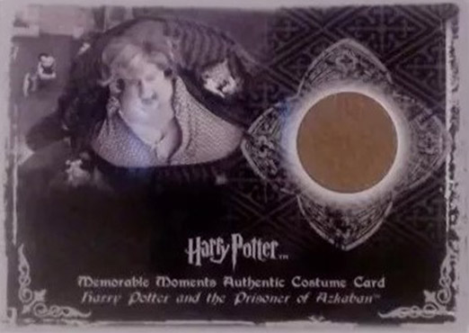 C5 - Aunt Petunia's Costume - Front