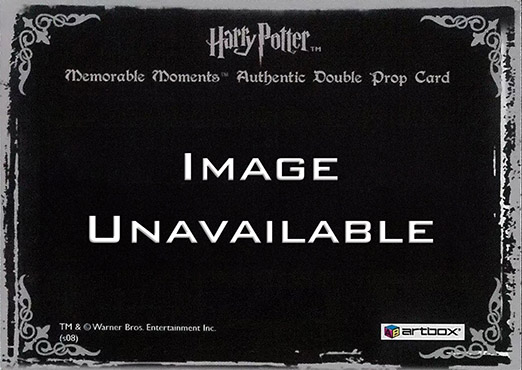 P1 - Hedwig's Perch - Back