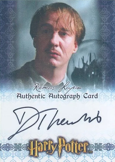 David Thewlis as Remus Lupin