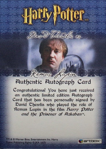 David Thewlis as Remus Lupin - Back