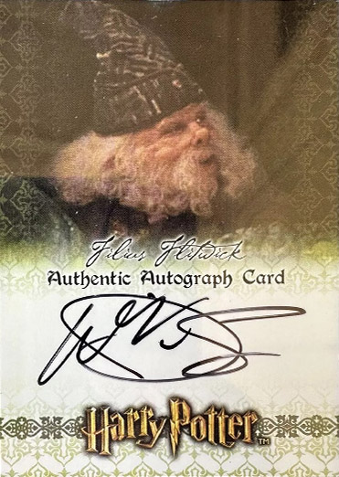 Warwick Davis as Professor Flitwick - Front