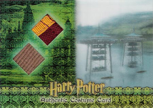 C11 - Harry Potter's and Viktor Krum's Second Task Costume