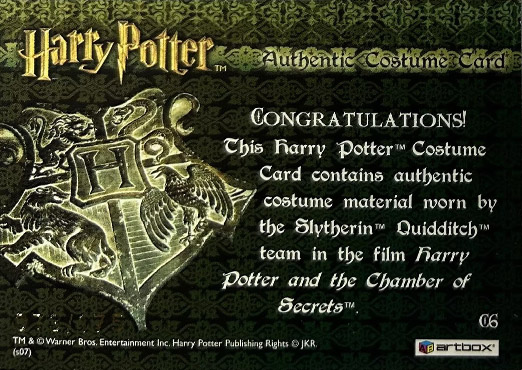 C6 - Slytherin Team Quidditch Robes - Back