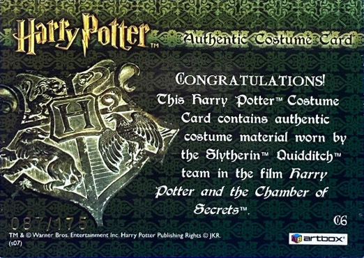 C6 - Slytherin Team Quidditch Robes - Back