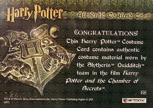 C6 - Slytherin Team Quidditch Robes - Back