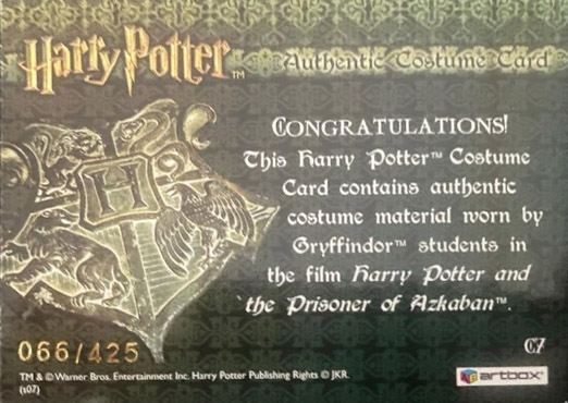 C7 - Gryffindor Students Tie - Back