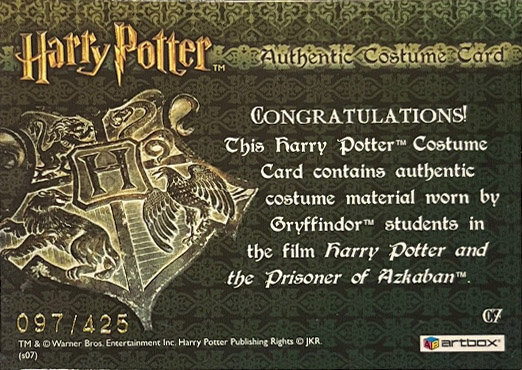 C7 - Gryffindor Students Tie - Back