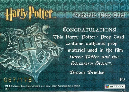 P2 - Broom Bristles - Back