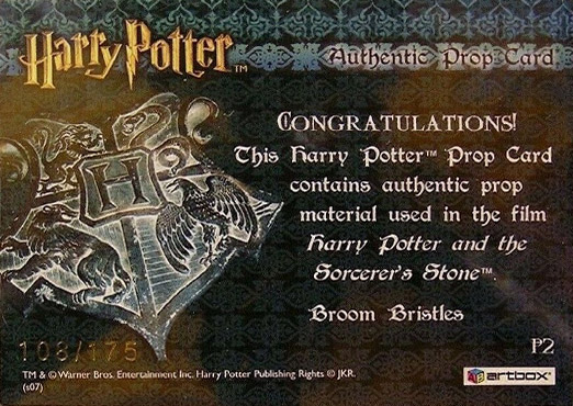 P2 - Broom Bristles - Back