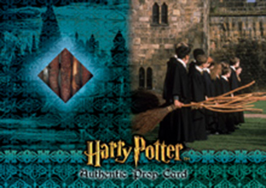 P2 - Broom Bristles - Front