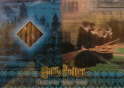 P2 - Broom Bristles - Front