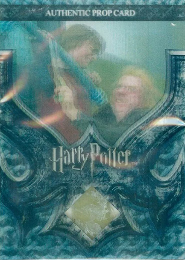 P12 - Peter Pettigrew's Dagger