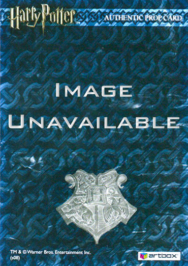 P2 - Hedwig's Cage - Back