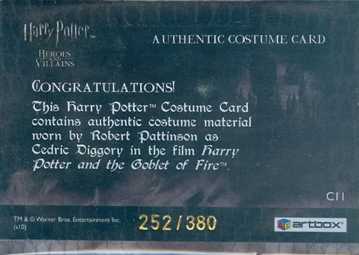 C11 - Cedric Diggory's First Task Costume - Back