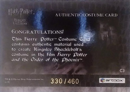 C3 - Kingsley Shacklebolt's Robes - Back