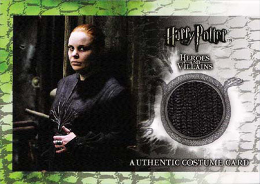 C6 - Alecto Carrow's Robes