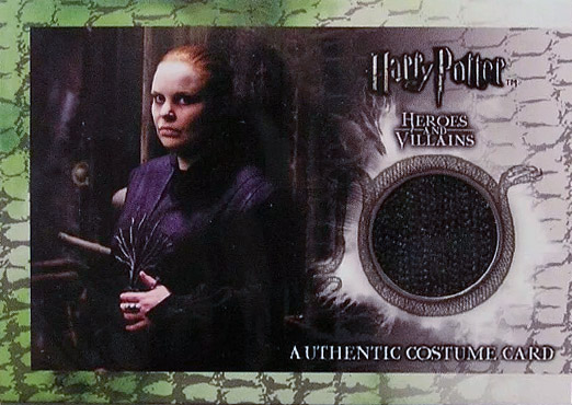 C6 - Alecto Carrow's Robes - Front