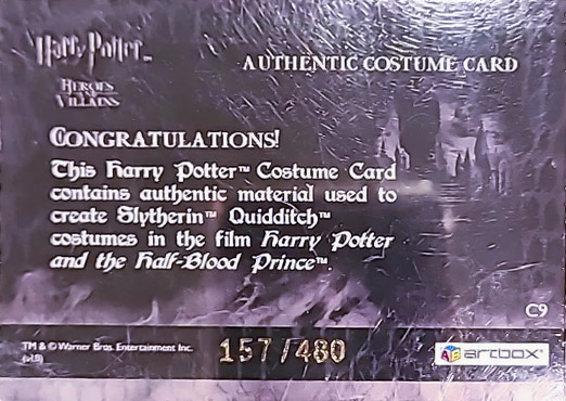 C9 - Slytherin Quidditch Robes - Back