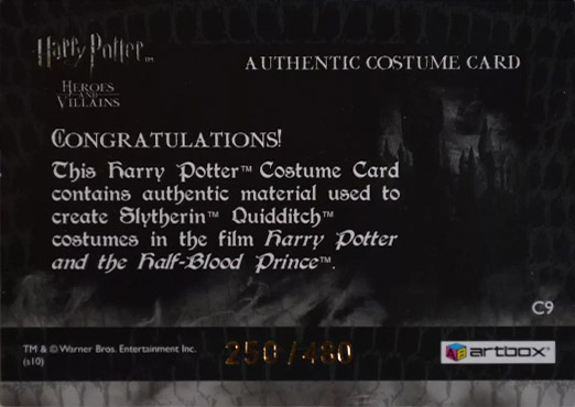 C9 - Slytherin Quidditch Robes - Back