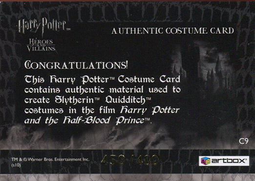 C9 - Slytherin Quidditch Robes - Back