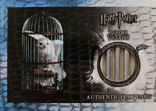 P7 - Hedwig's Cage