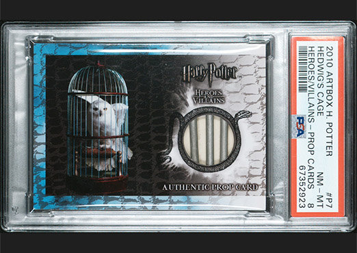 P7 - Hedwig's Cage - Front