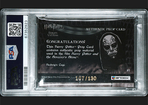 P7 - Hedwig's Cage - Back