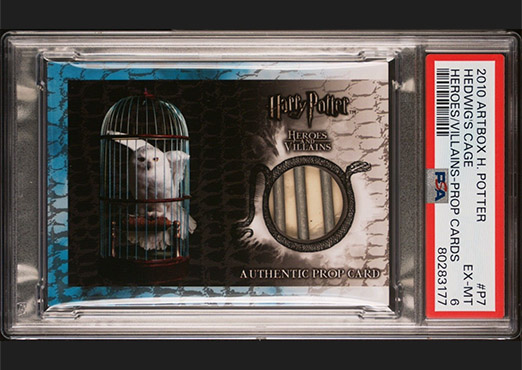 P7 - Hedwig's Cage - Front