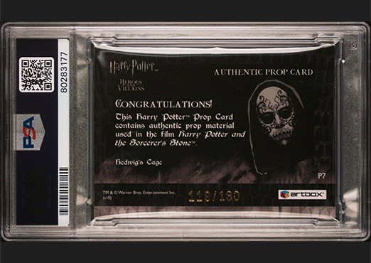 P7 - Hedwig's Cage - Back